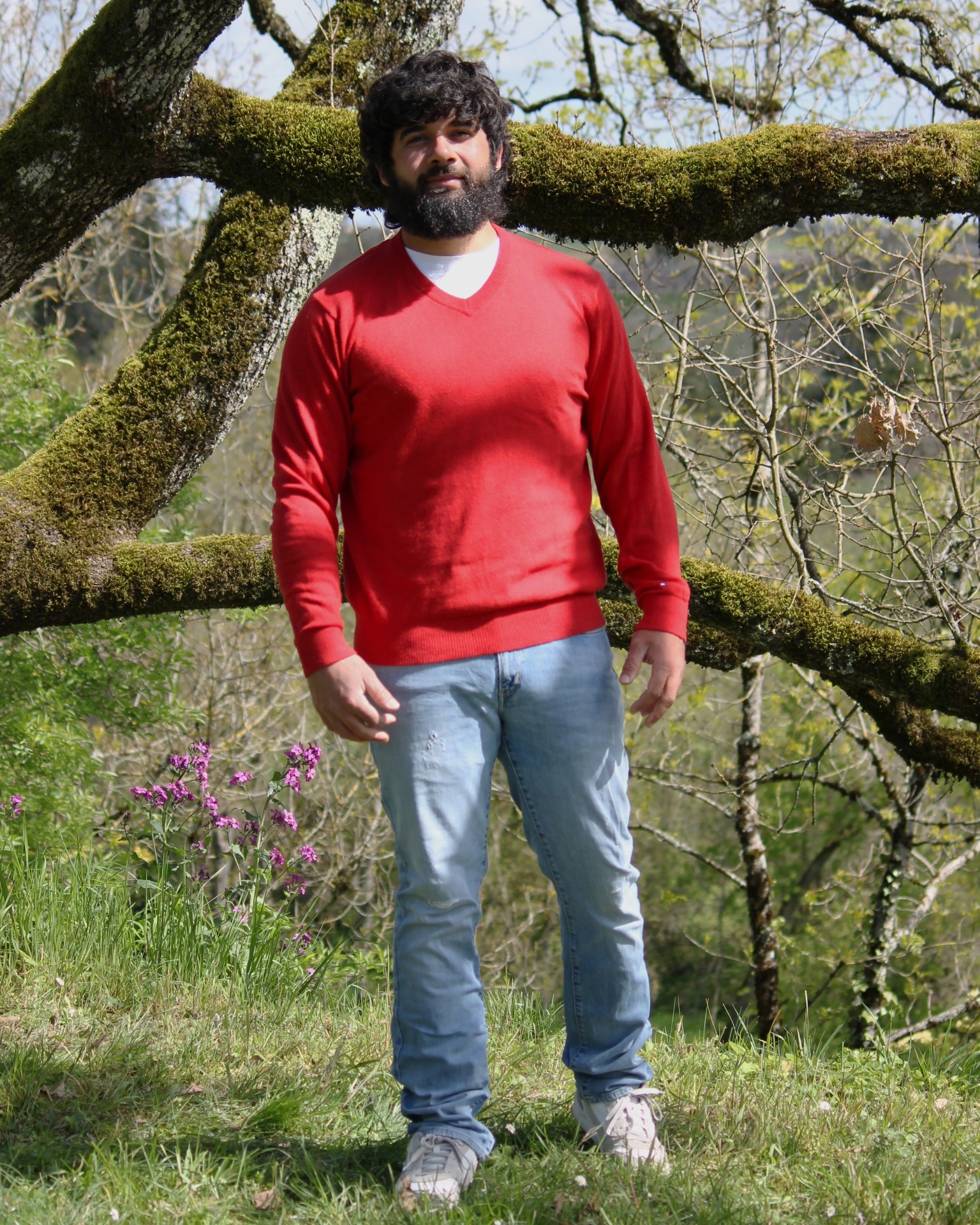 Pull rouge Tommy Hilfiger