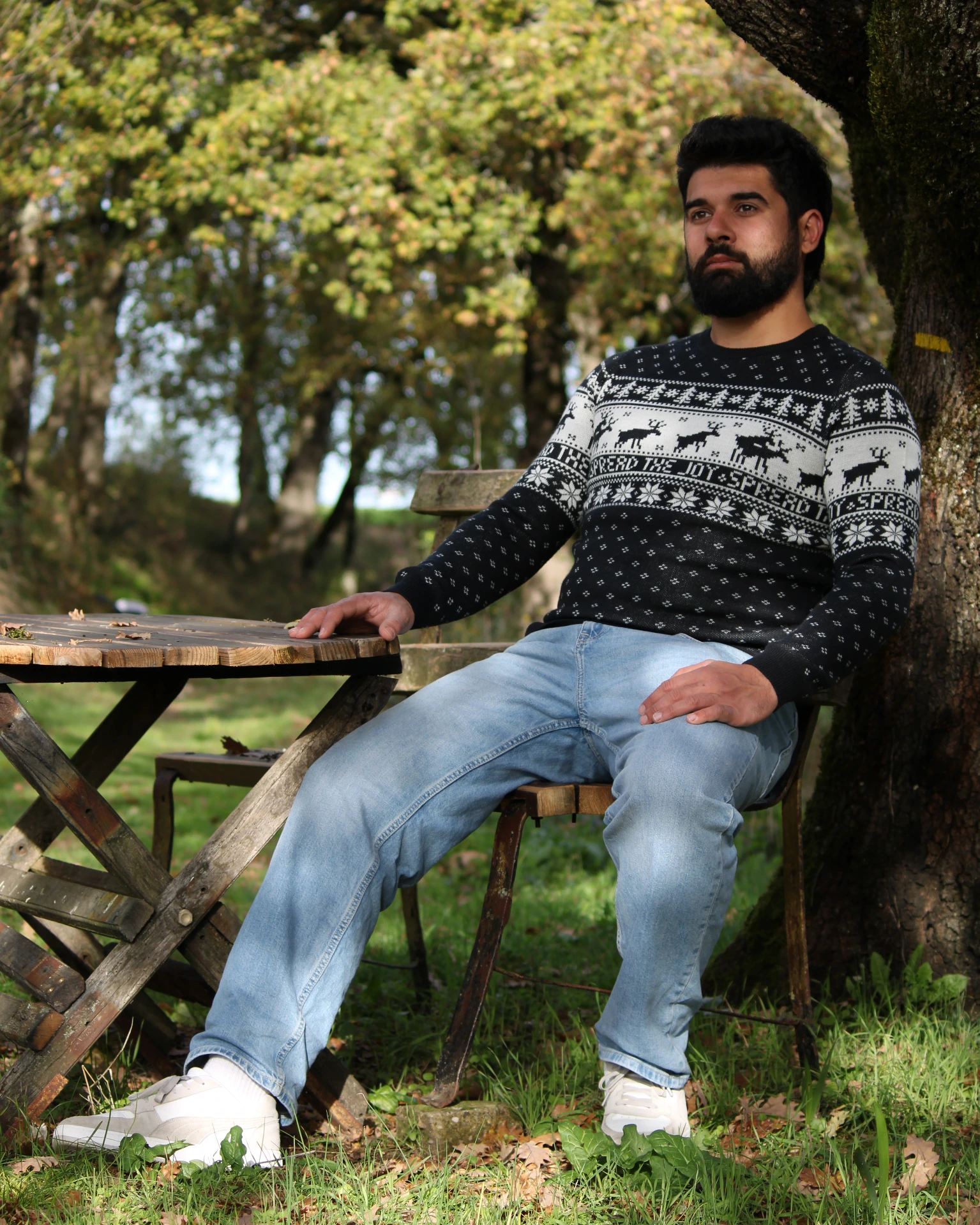 Pull de Noël
