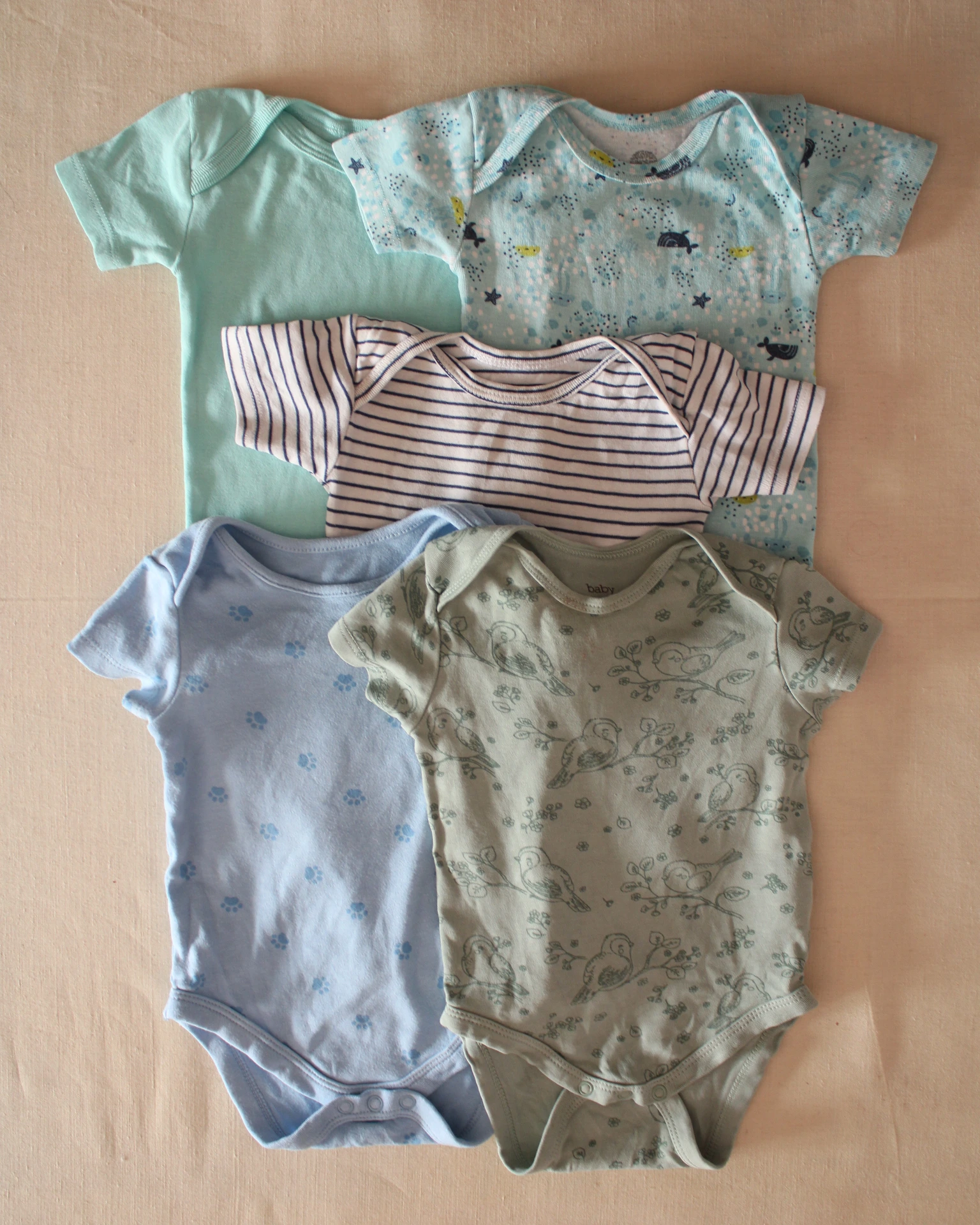 Lot de 5 bodies manches courtes (9 mois - Garçon)